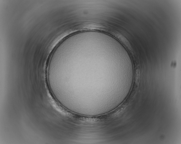 X0000114731039200911121750