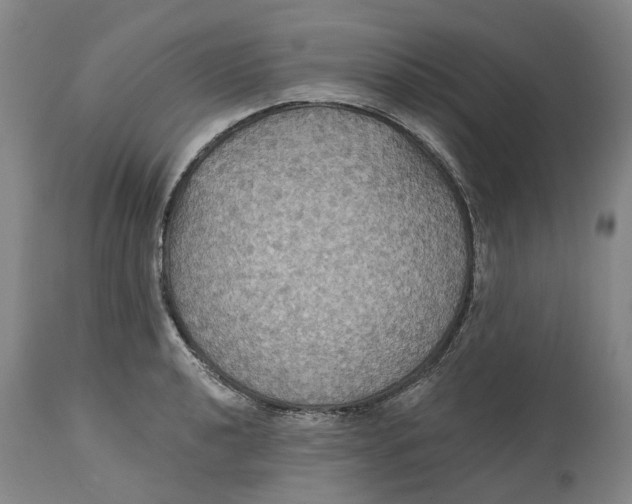 X0000114731040200911121750