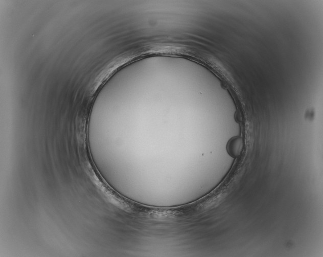 X0000114731041200911121750
