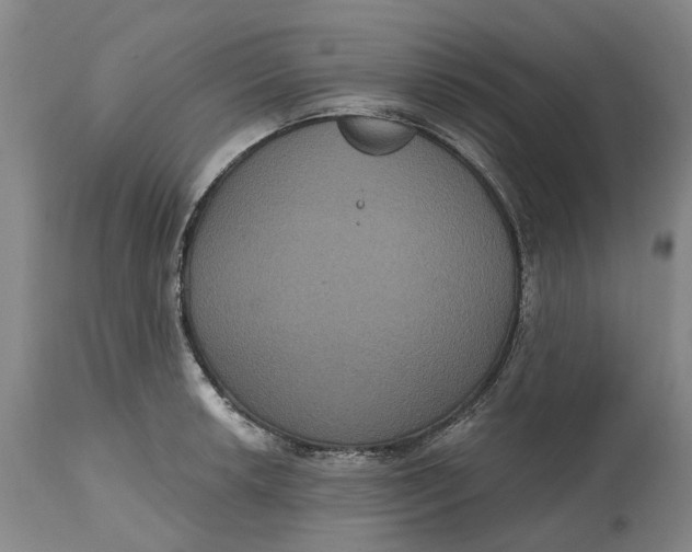 X0000114731042200911121750