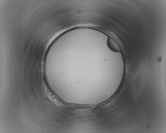 X0000114731044200911121750