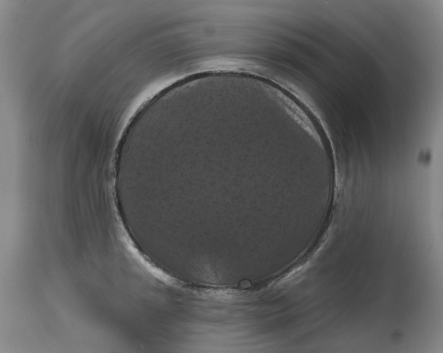 X0000114731045200911121750