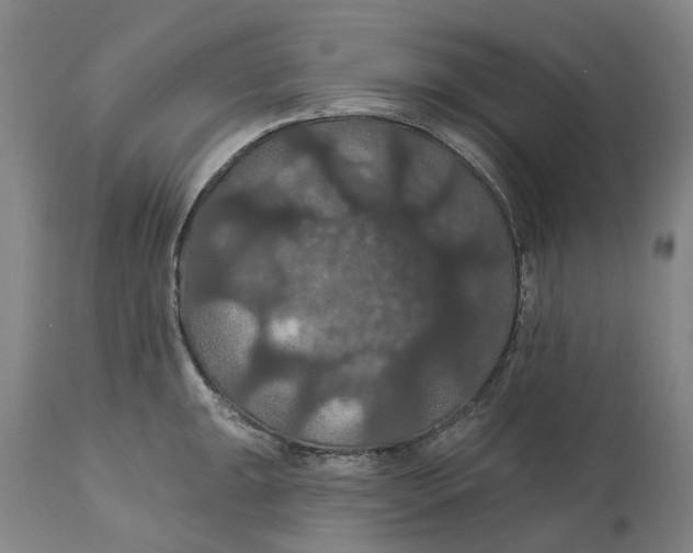 X0000114731047200911121750