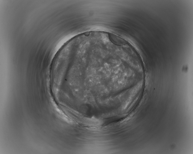 X0000114731048200911121750