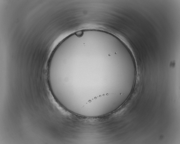 X0000114731053200911121750