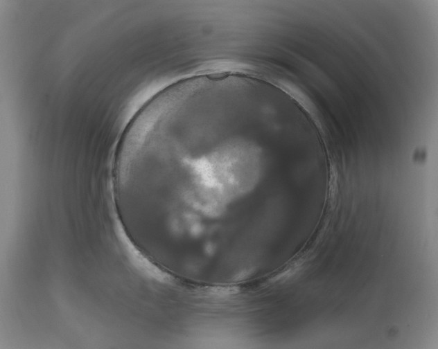 X0000114731055200911121750