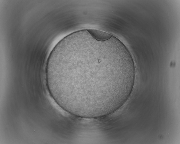 X0000114731056200911121750