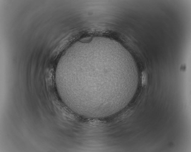 X0000114731059200911121749