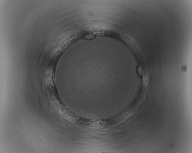 X0000114731060200911121749