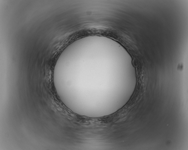 X0000114731061200911121749