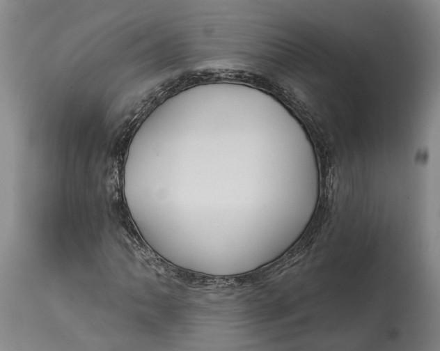 X0000114731062200911121749