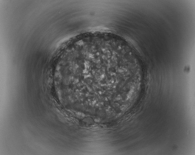 X0000114731063200911121749
