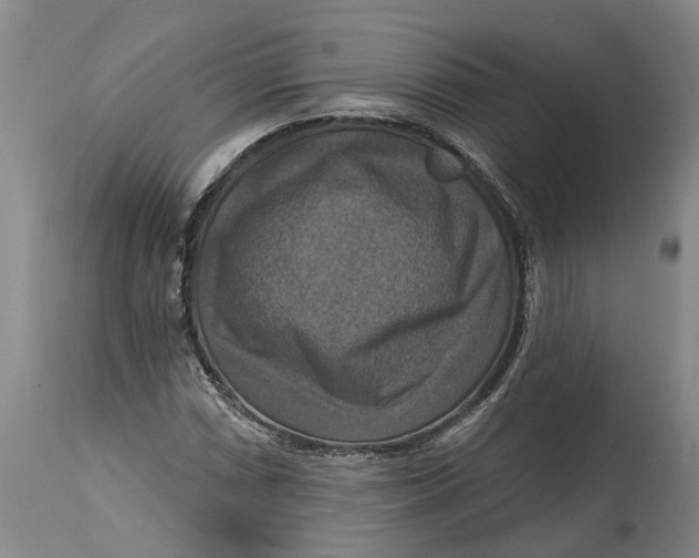 X0000114731066200911121749