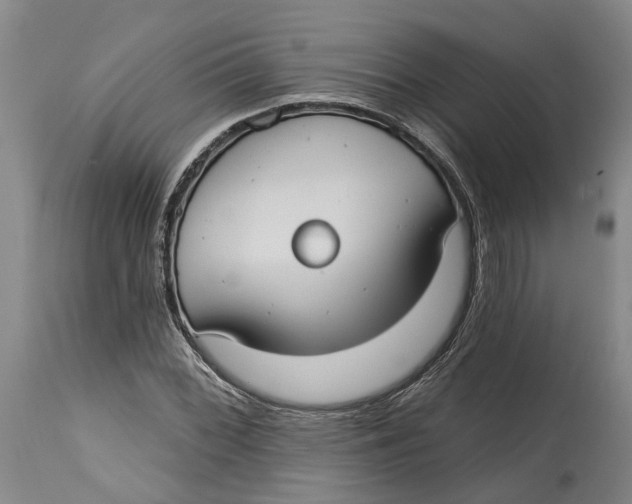 X0000114731068200911121749