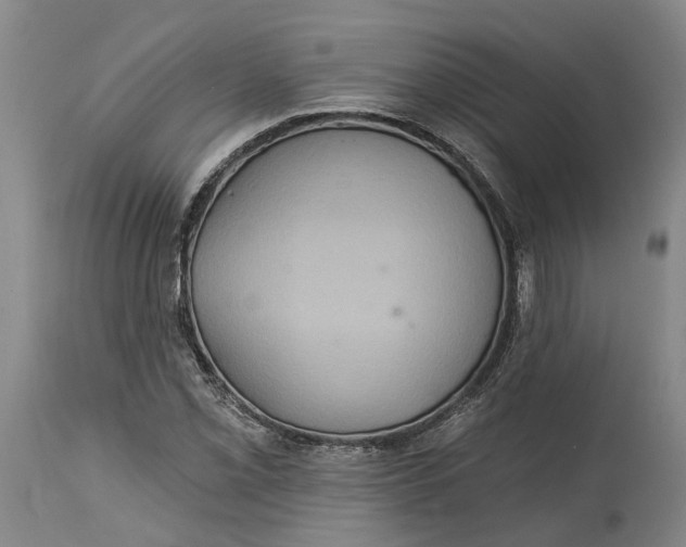 X0000114731069200911121749