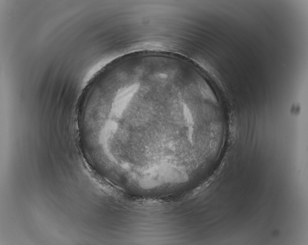 X0000114731070200911121749