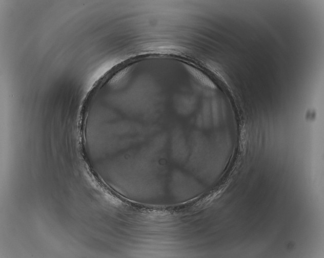 X0000114731071200911121749