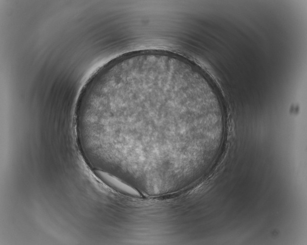 X0000114731072200911121749