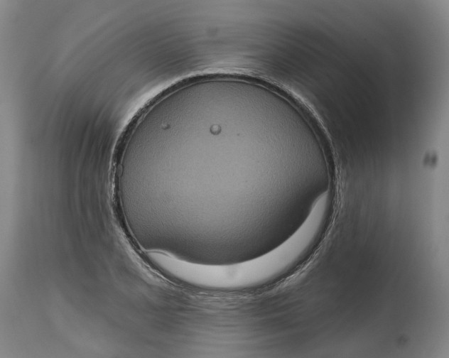 X0000114731077200911121749