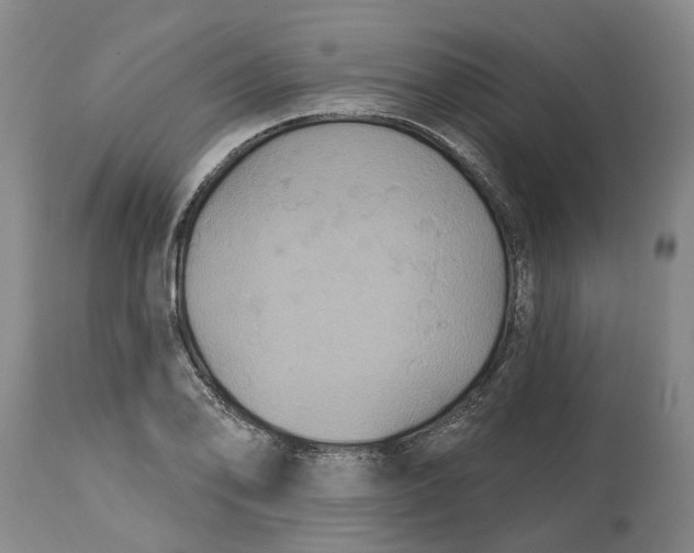 X0000114731078200911121749