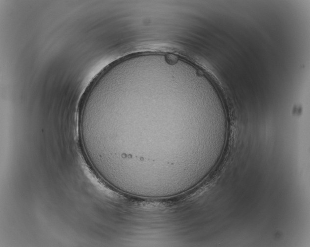 X0000114731079200911121749