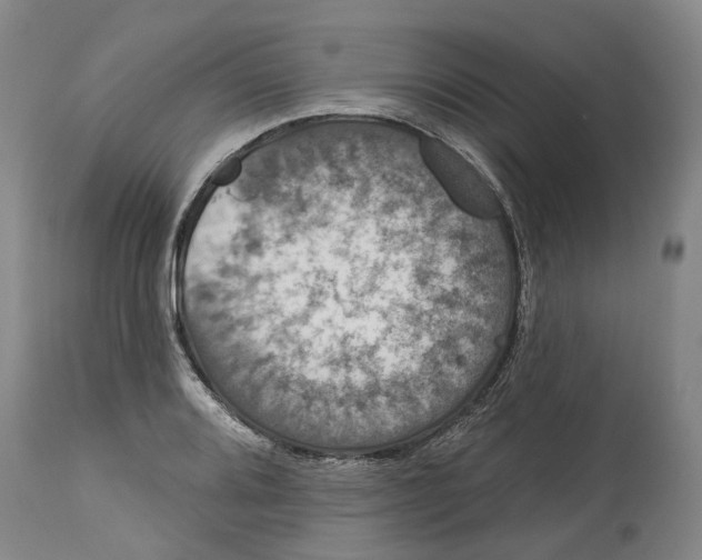 X0000114731080200911121749