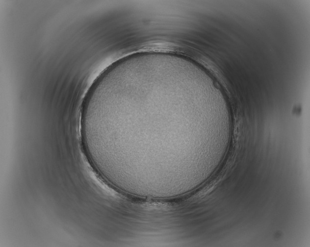 X0000114731083200911121749