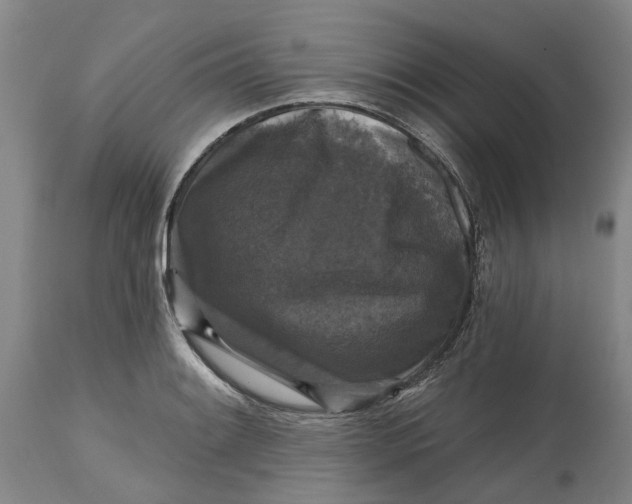 X0000114731084200911121749