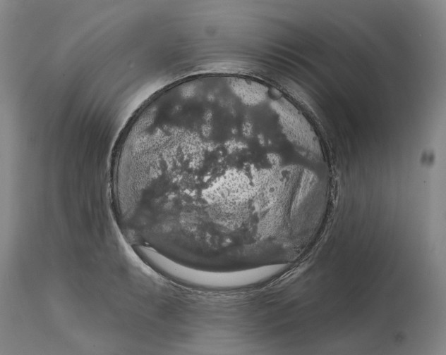 X0000114731087200911121749