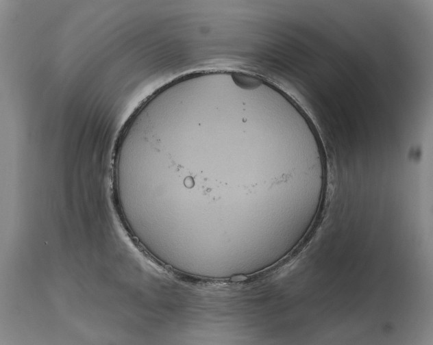 X0000114731093200911121749
