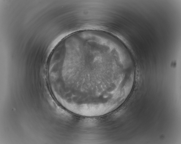 X0000114731094200911121749