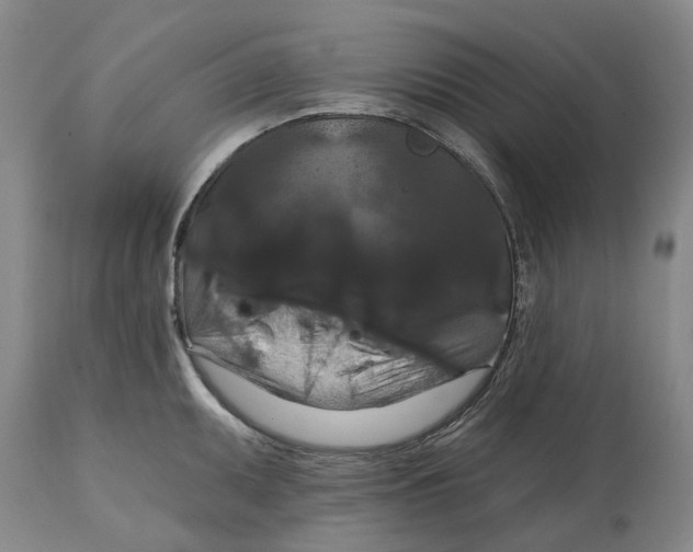 X0000114731095200911121749
