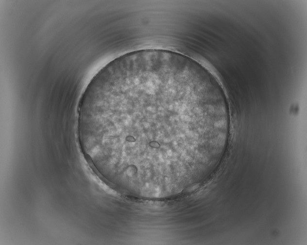 X0000114731096200911121749