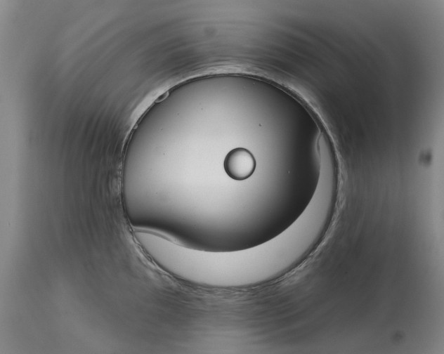 X0000114731097200911121749
