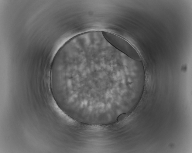 X0000114731100200911121749