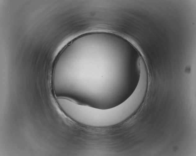 X0000114731101200911121749