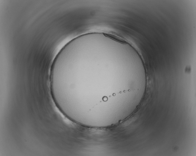 X0000114731103200911121749