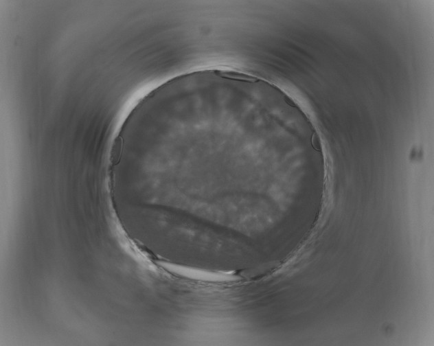 X0000114731104200911121749