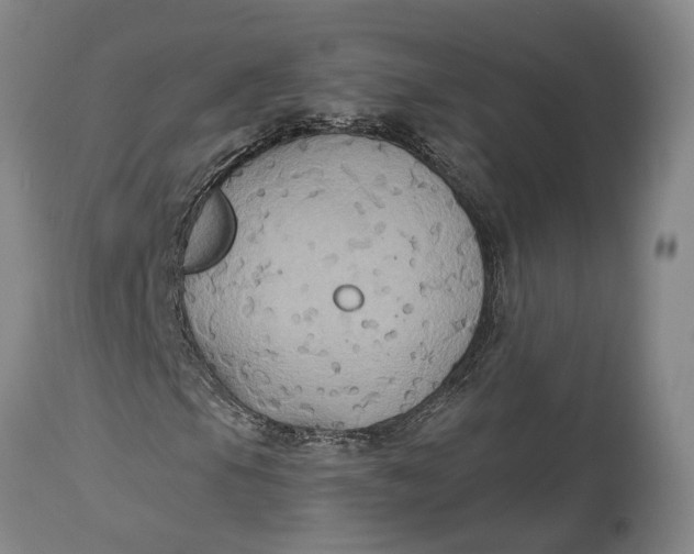 X0000114731105200911121748