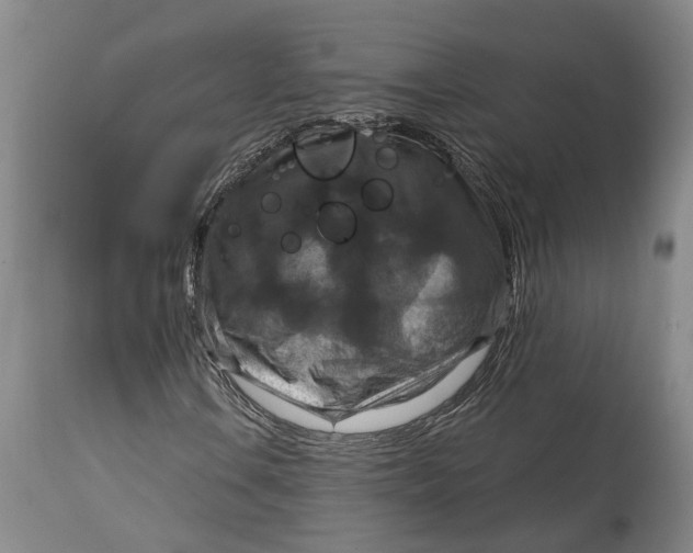 X0000114731106200911121748