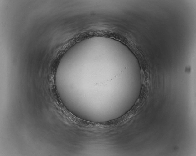 X0000114731109200911121748