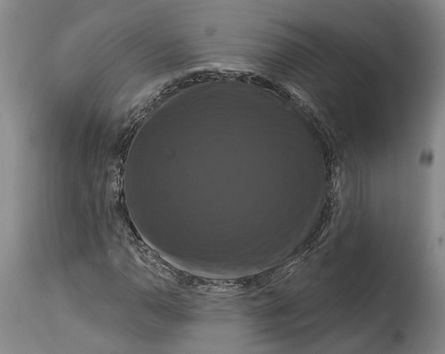 X0000114731110200911121748
