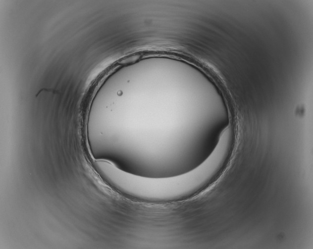 X0000114731114200911121748