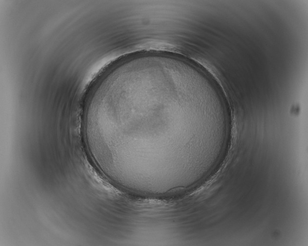 X0000114731115200911121748