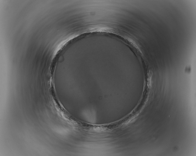 X0000114731117200911121748