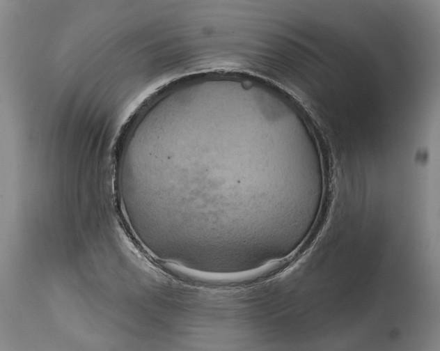 X0000114731118200911121748
