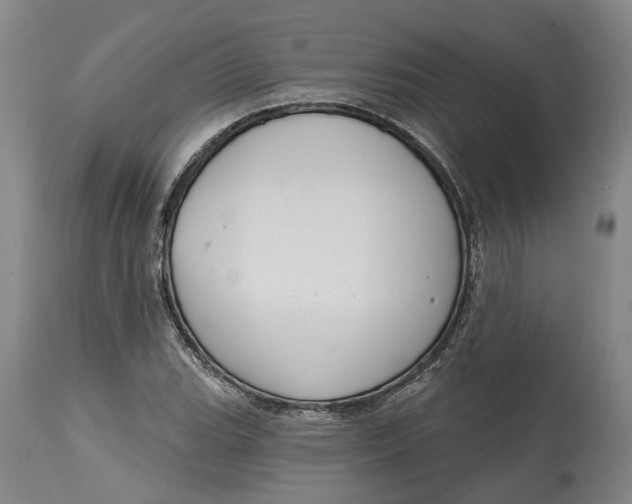 X0000114731119200911121748