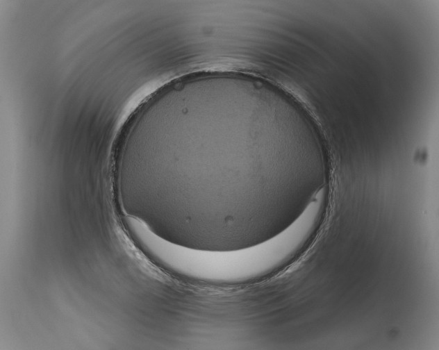 X0000114731122200911121748