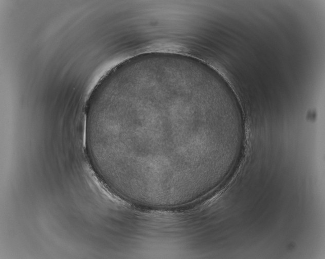 X0000114731123200911121748