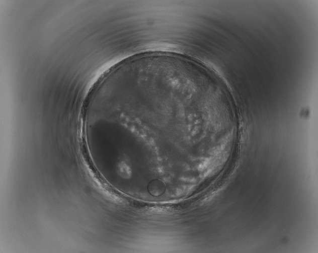 X0000114731125200911121748